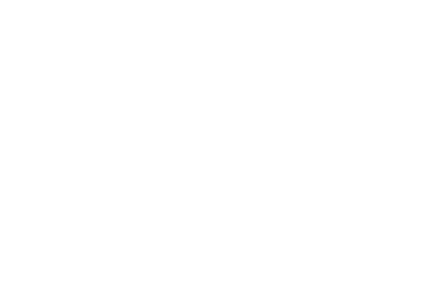 Ideal Physical Therapy & Fitness logo